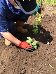 atsubetu uetuke.pngのサムネイル画像